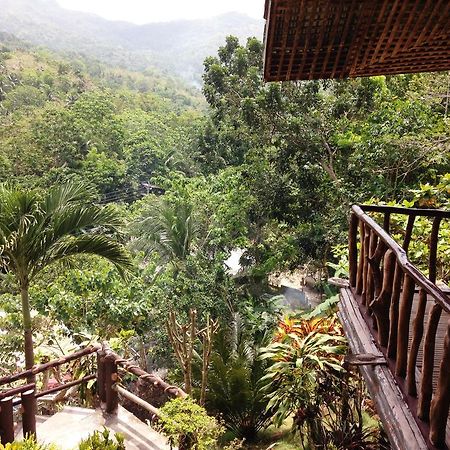 Hilltop Cottages Loboc Exterior photo
